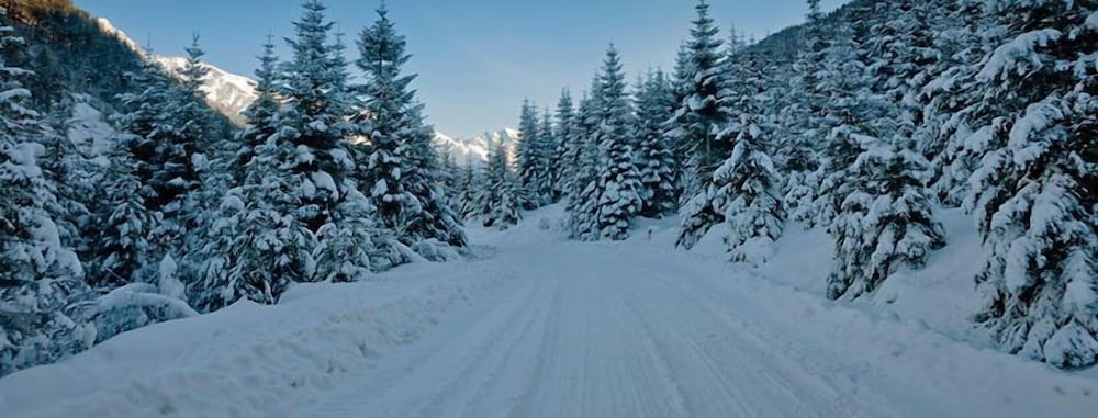 Фото Vila Vita Hotel