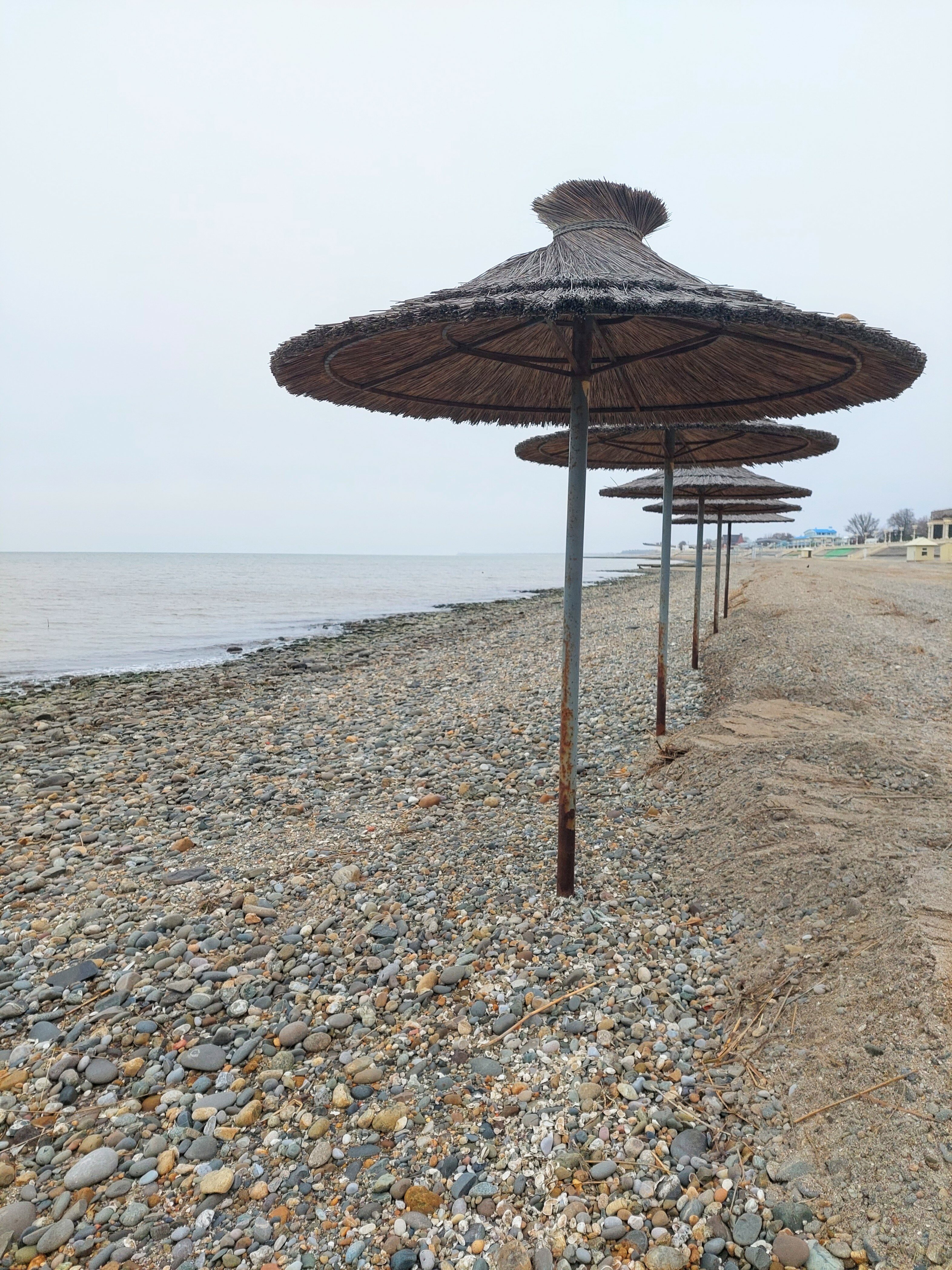 Фото Марисоль