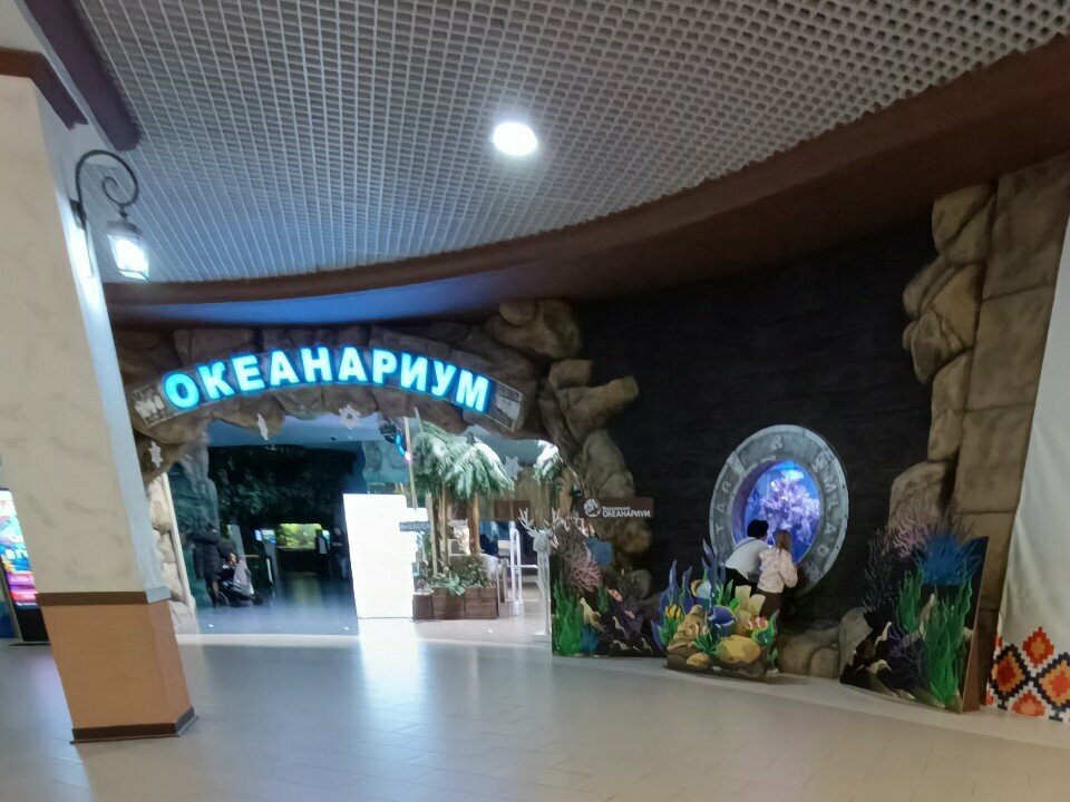 Aquarium Аквариум, Voronezh Oblast, photo