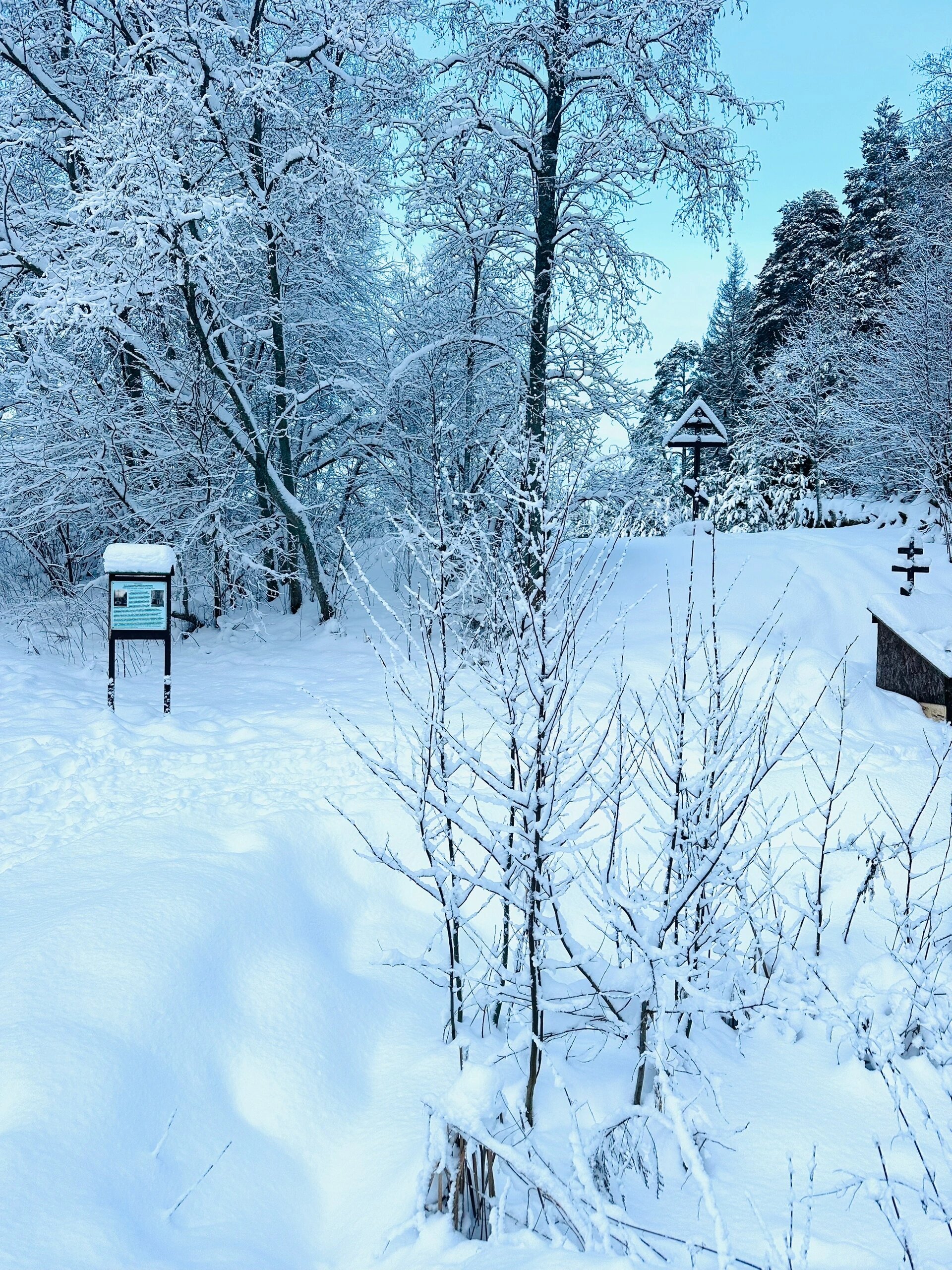 Фото Стрековец