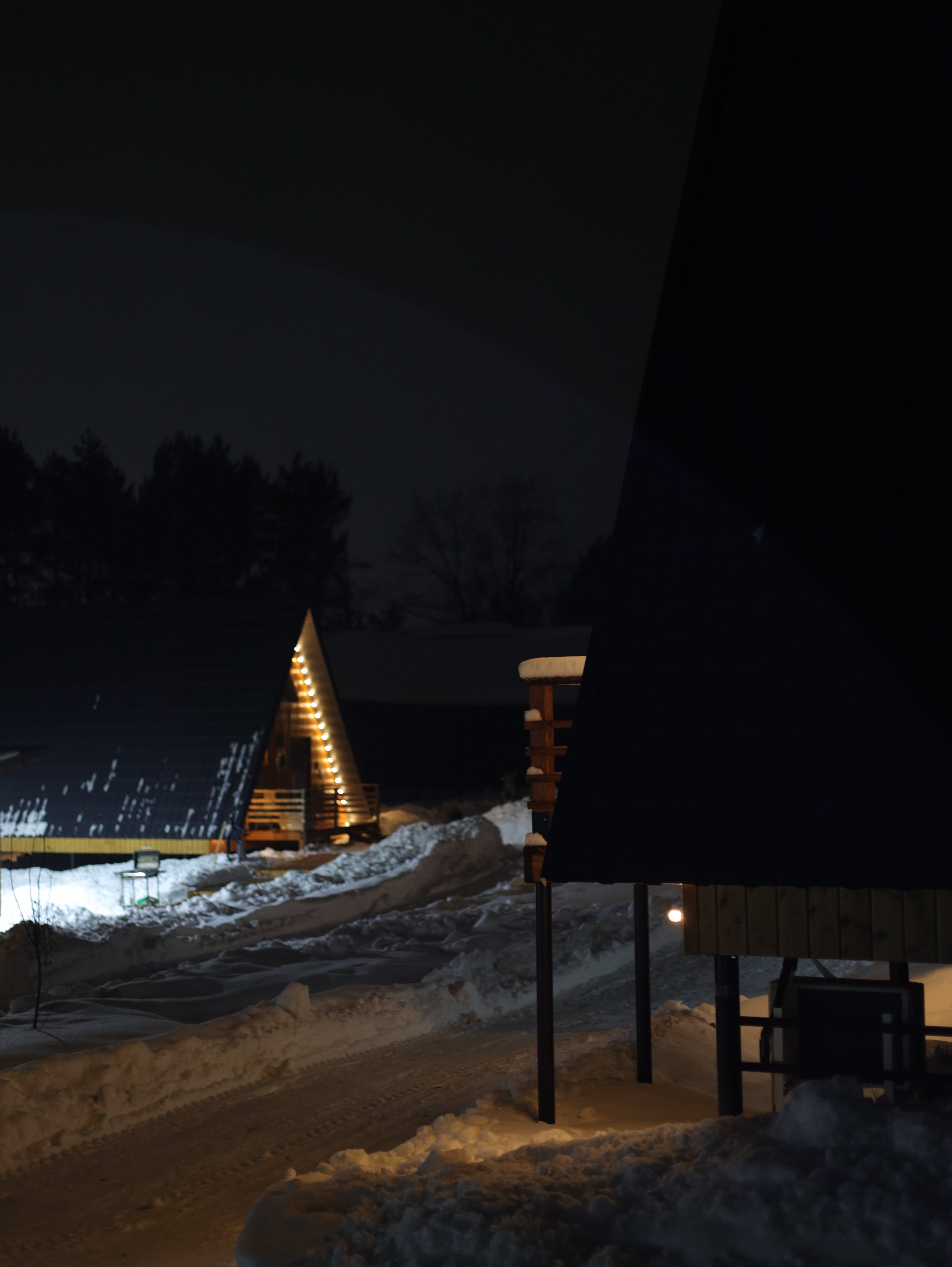 Фото Караси