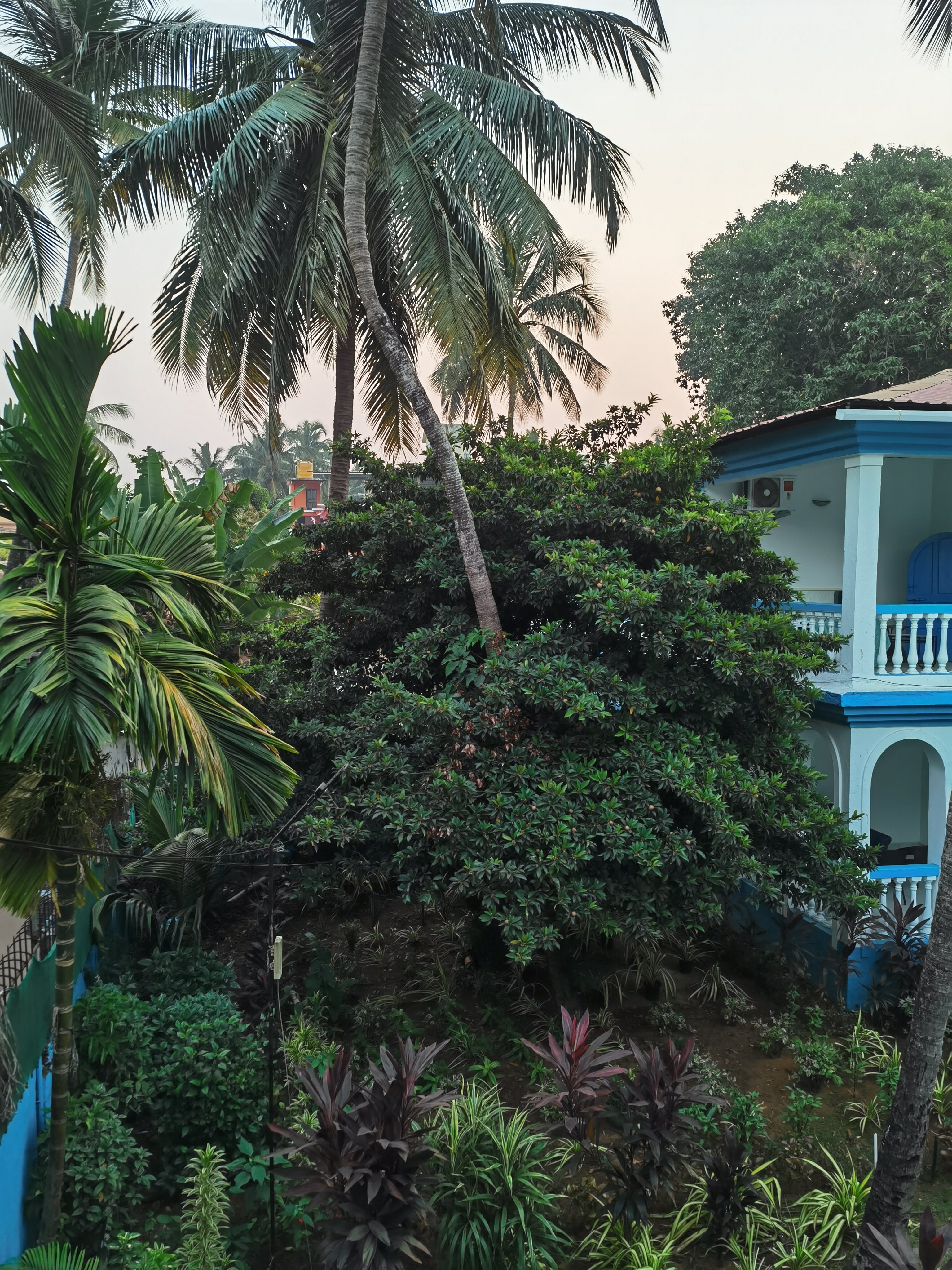 Фото Paradise Village Beach Resort