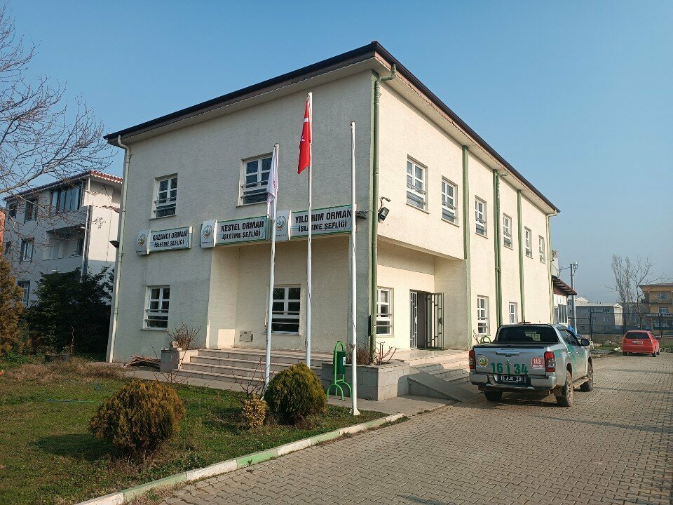 الغابات Kestel Forest Management Office Cumalikizik Wood Depot ، بورصة، صورة