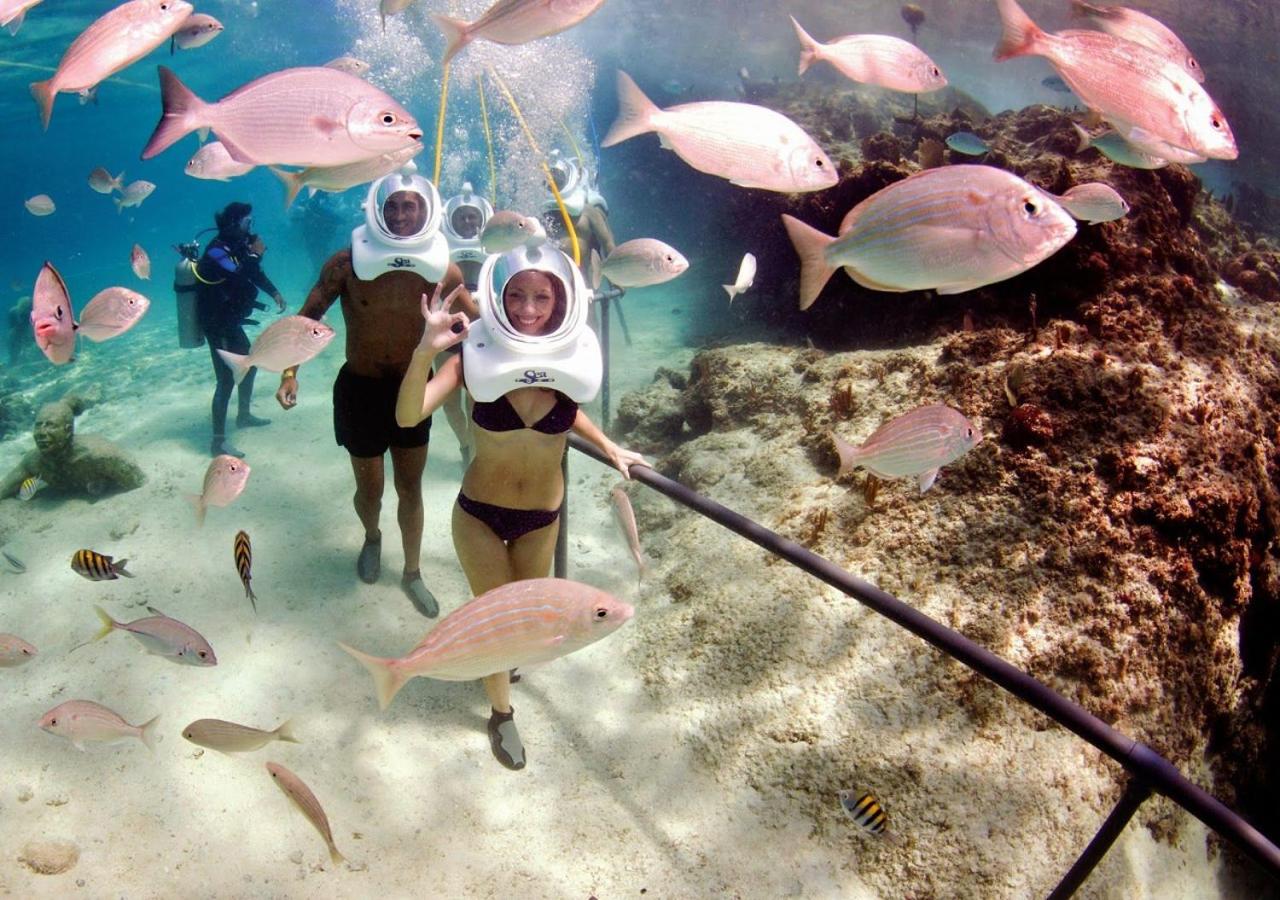 Фото Apartamentos Acuarium II