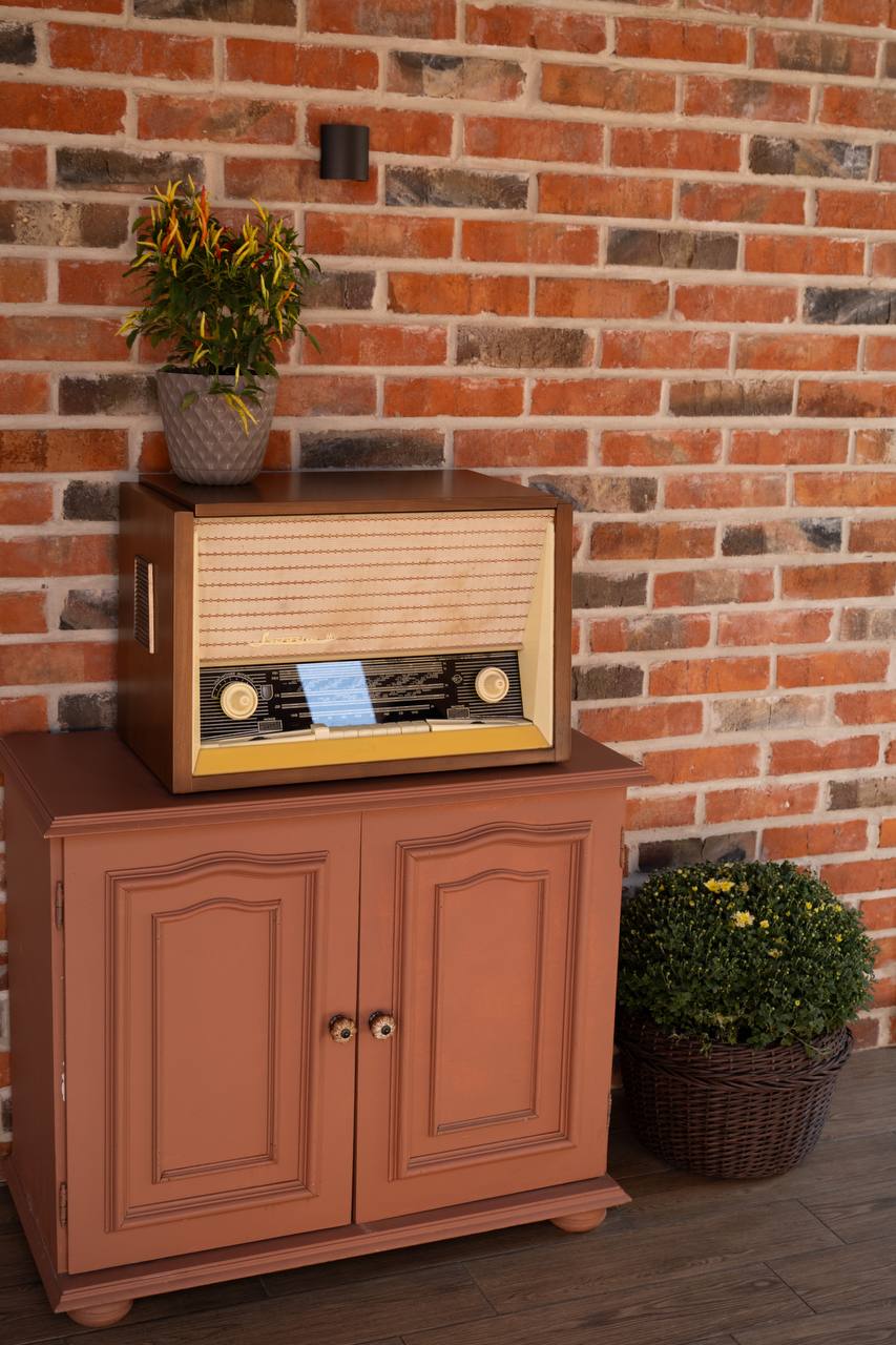 Фото Green forest