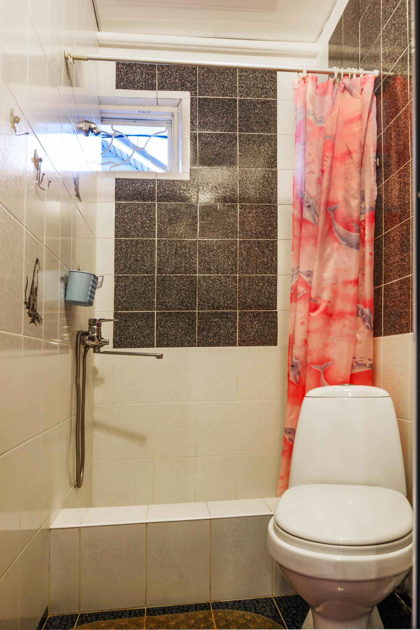 Фото Звёздочка