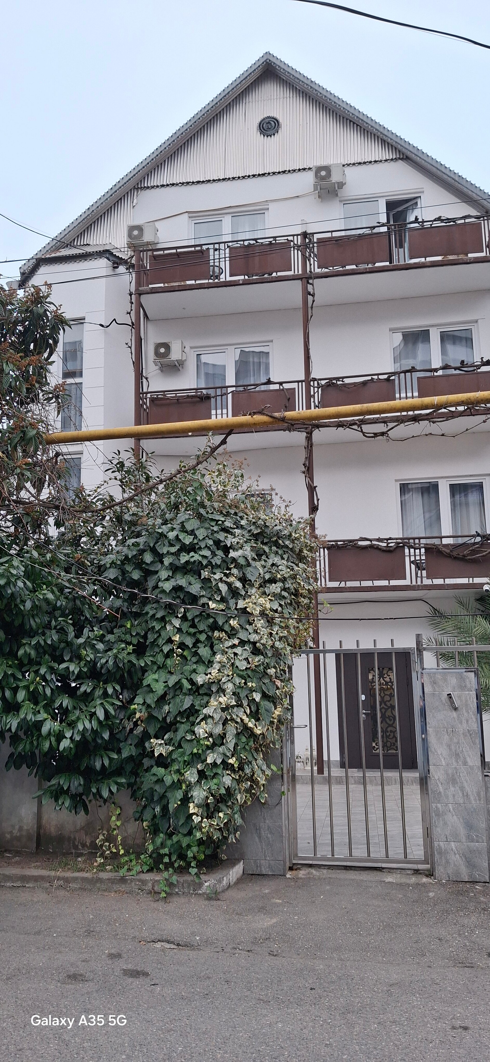 Фото Калипсо