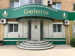 Gelena (Sadovaya ulitsa, 5), cosmetología