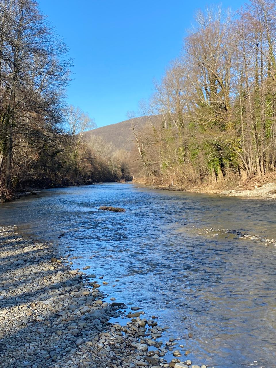 Фото Рич Хаус