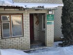 Заповедник Приволжская лесостепь (Okruzhnaya Street, 12А) ، الغابات