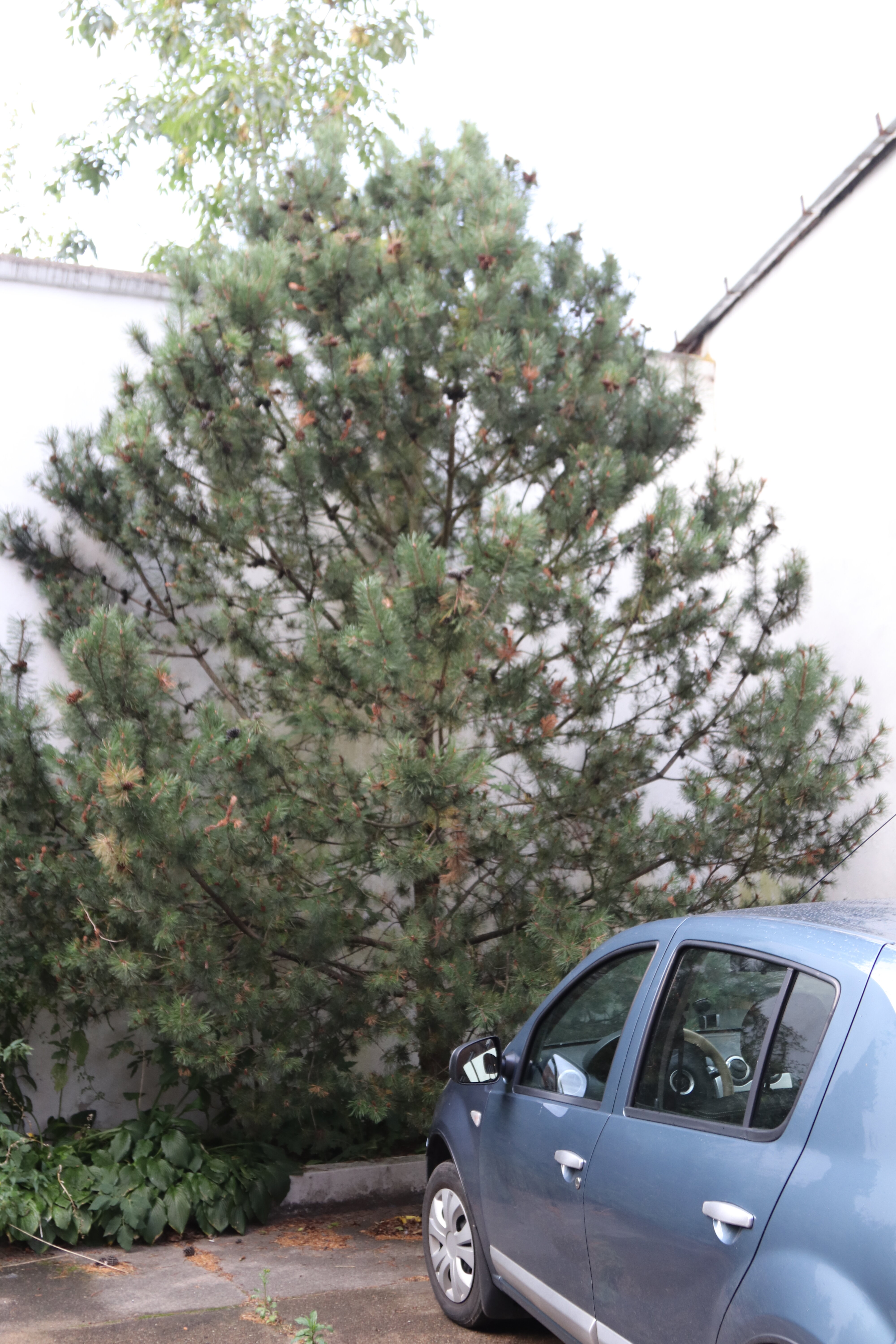 Фото У Медведя