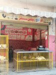 Allah ho chicken (Qadri Colony 2 Road, E-452), egg and poultry meat