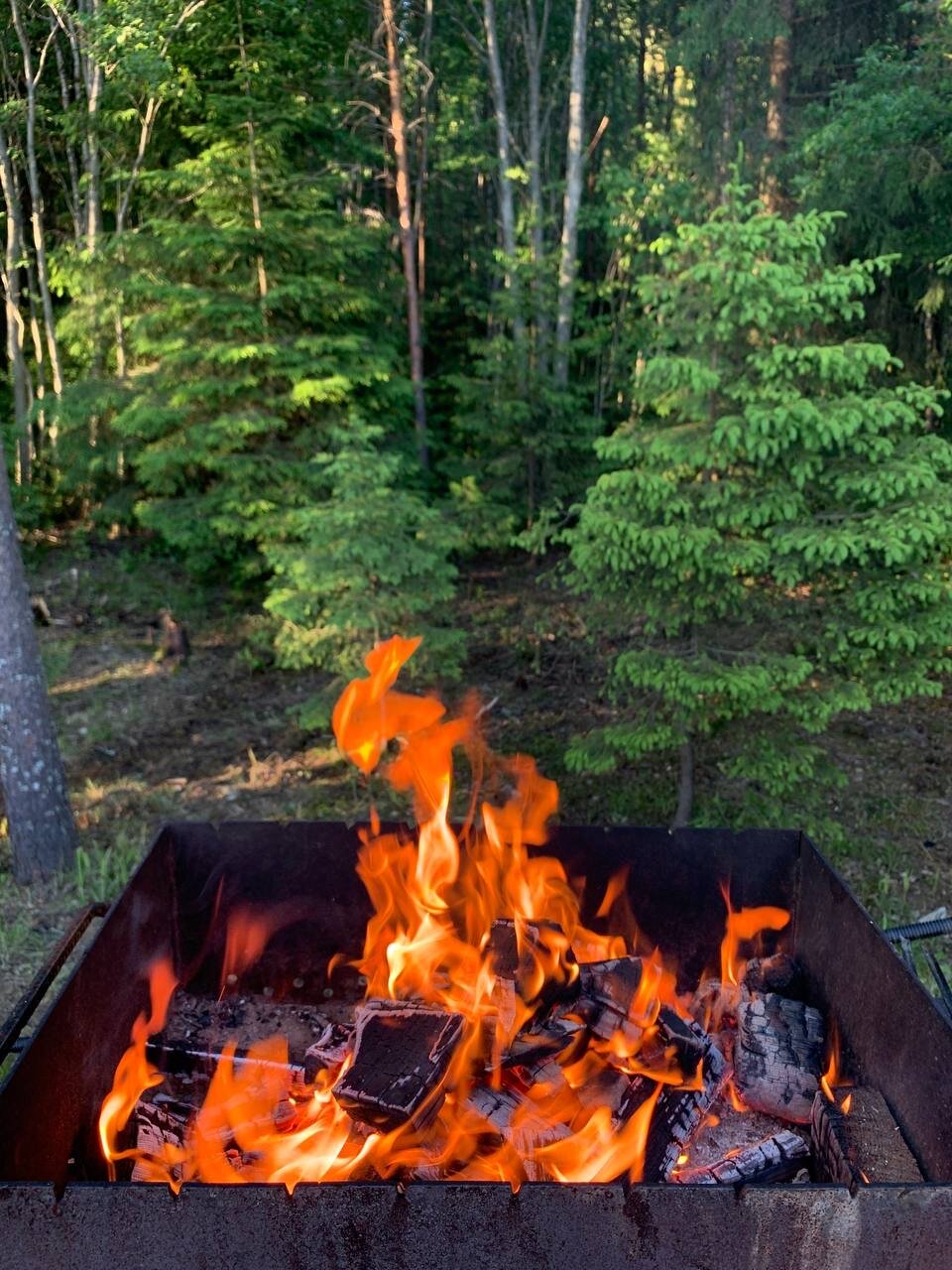 Фото Дача Дом у леса