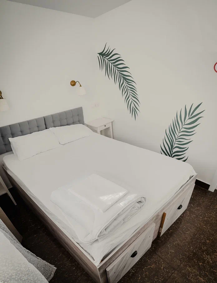 Фото Старый Лис