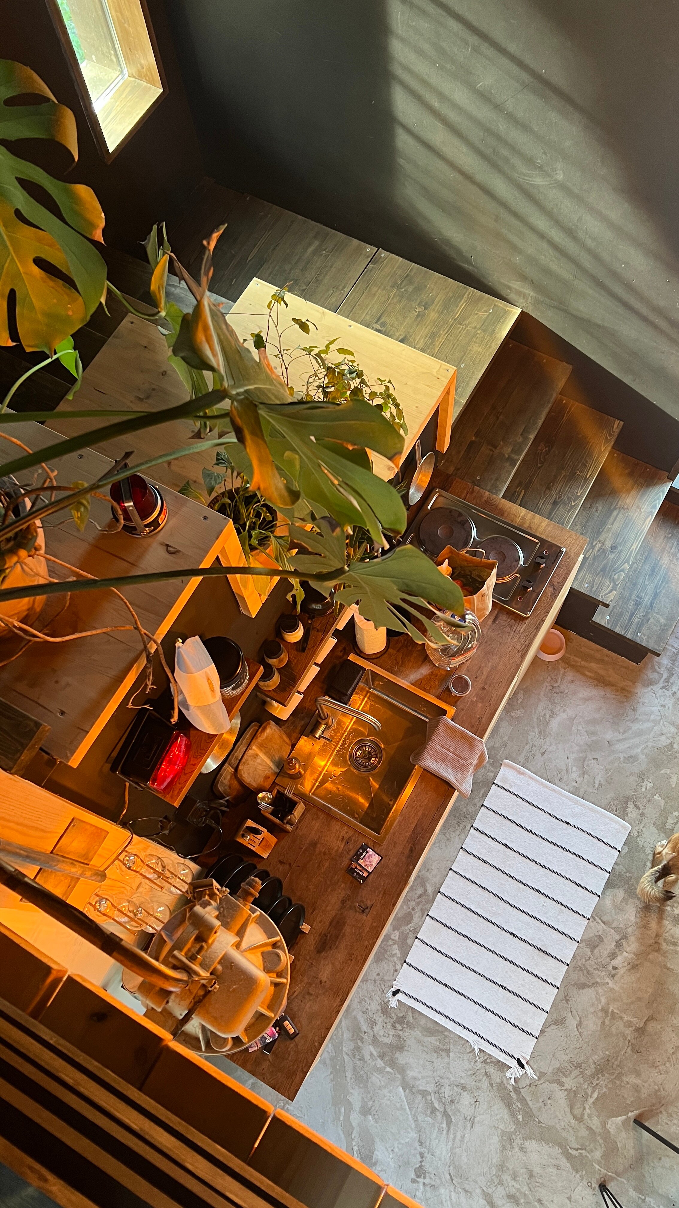 Фото Дзен в лесу