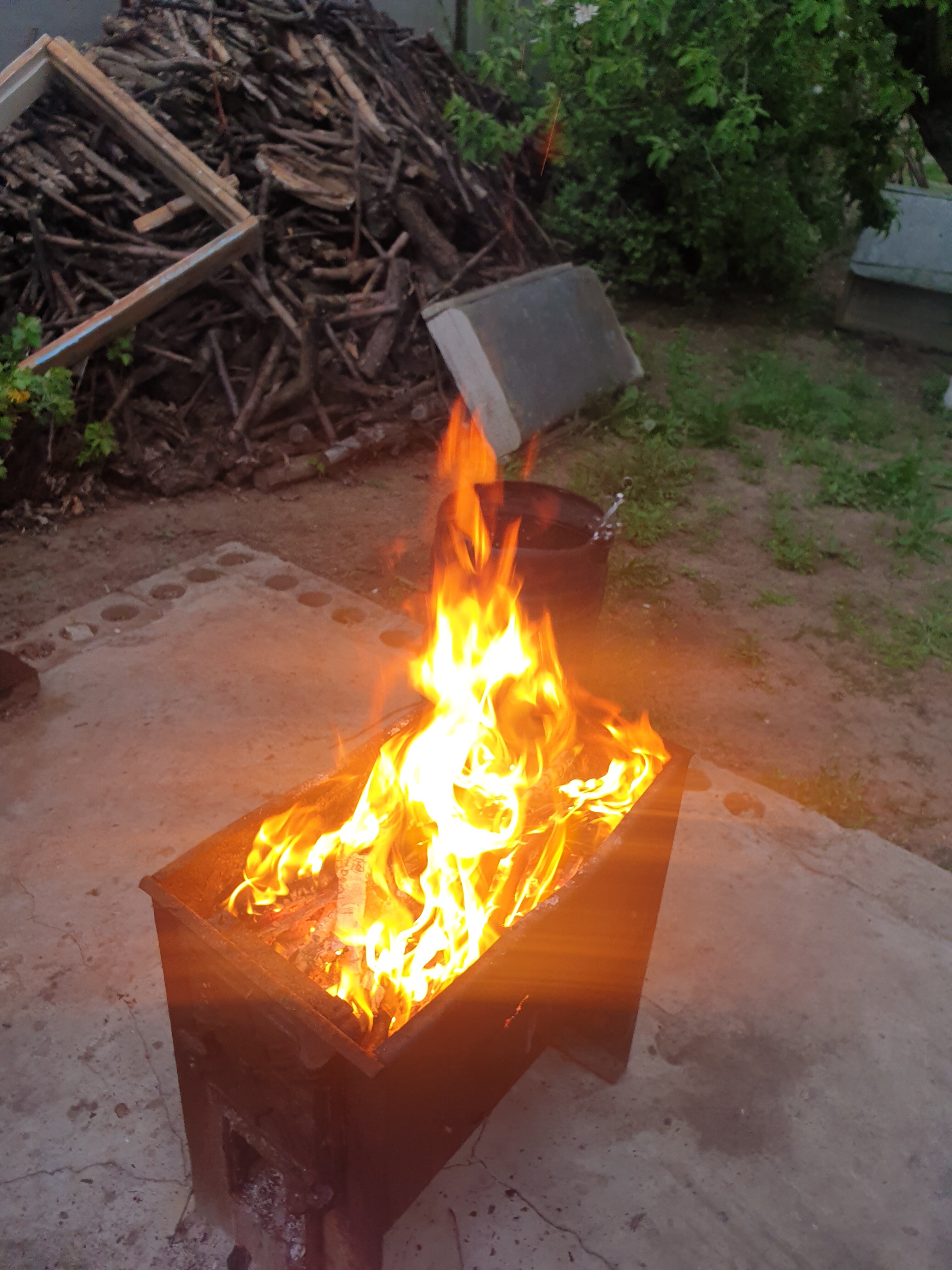 Фото Фазенда