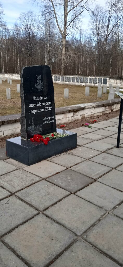 Monumento, memorial Памятник погибшим ликвидаторам аварии на ЧАЭС, , foto
