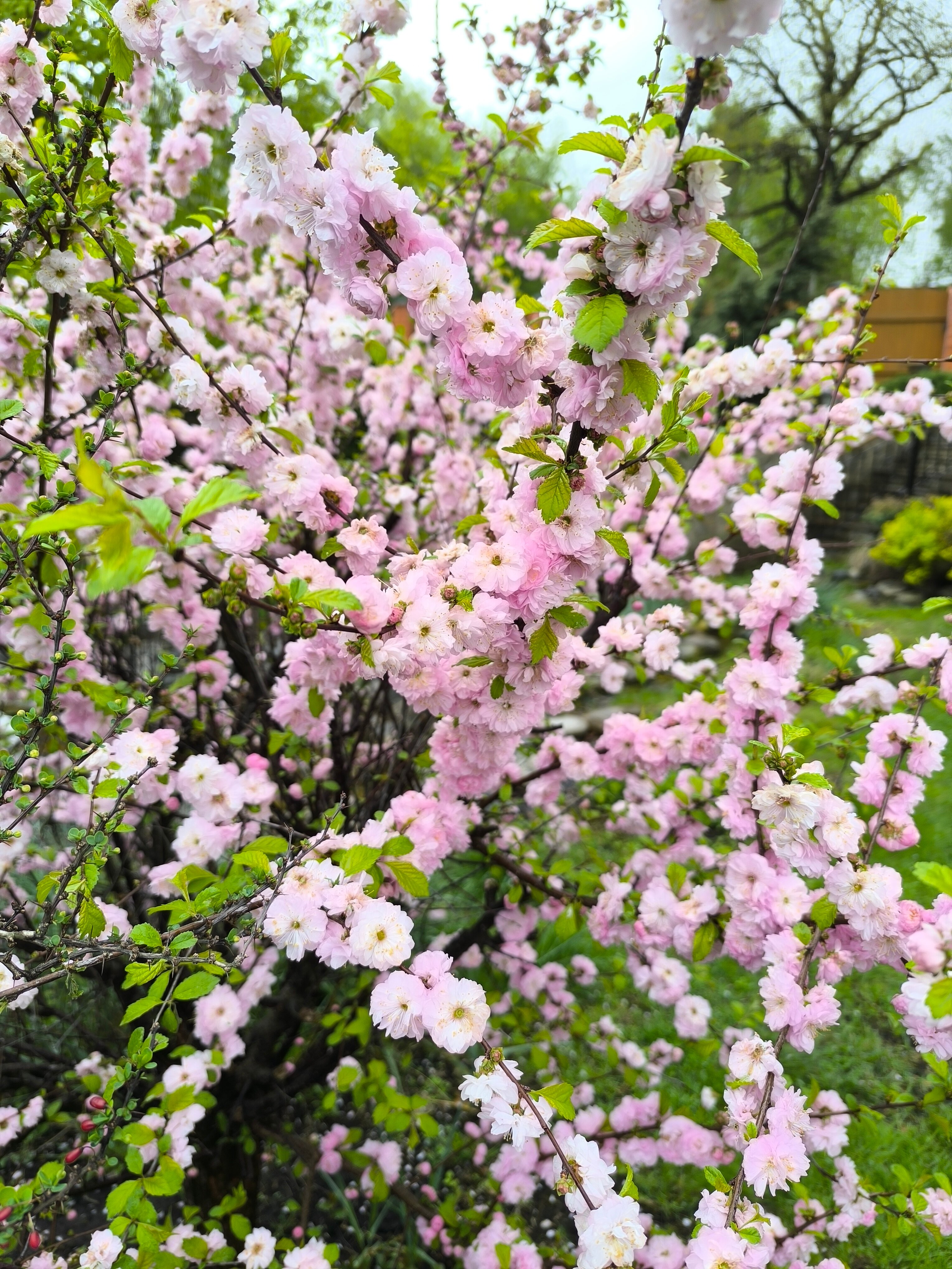 Фото Теремок