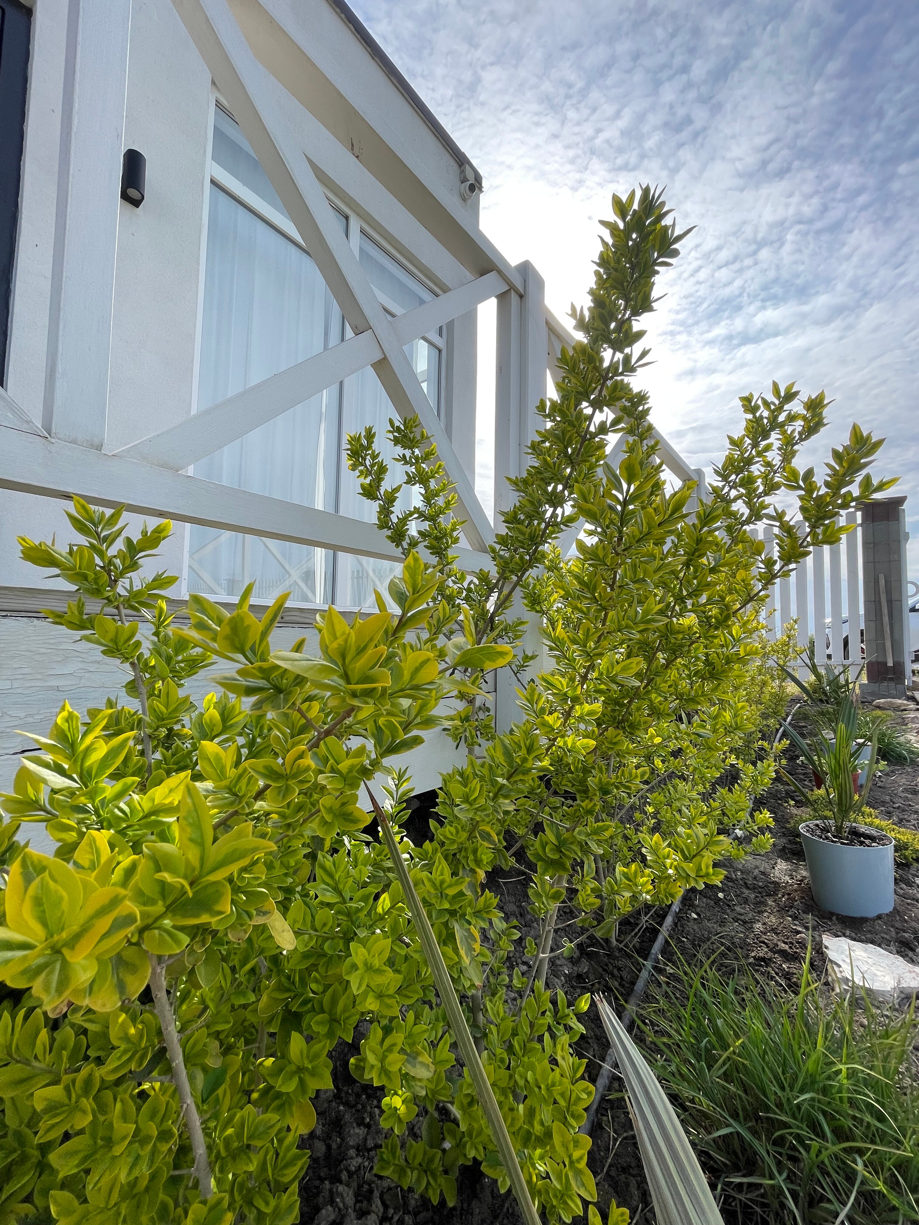 Фото Ле-Ман