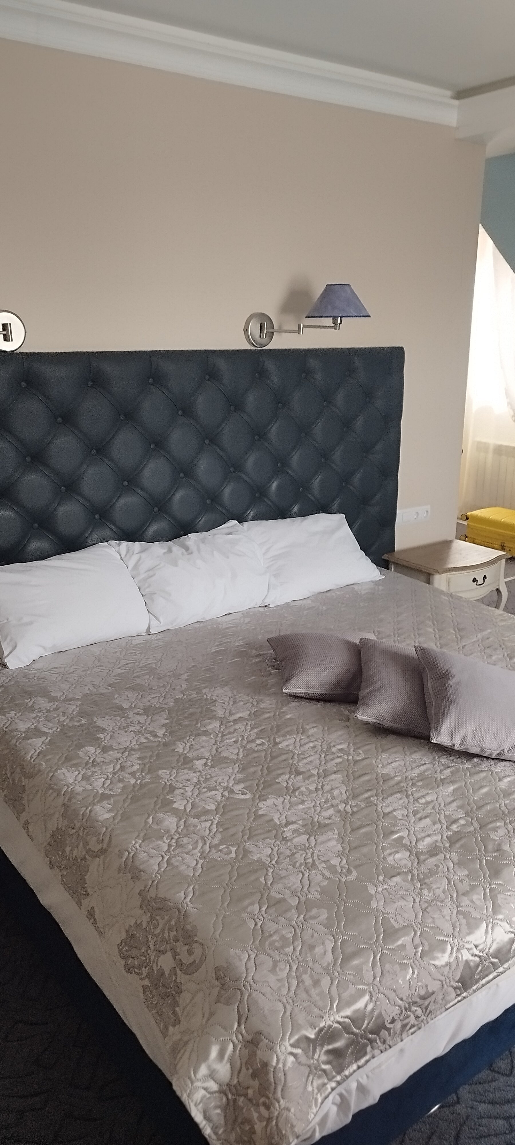 Фото Серый гусь