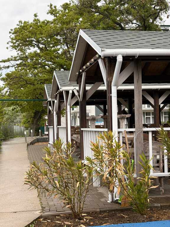 Фото Мироген