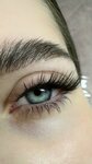 Lash Guro (Chapaevskaya Street, 69) ، شريط حاجب العين