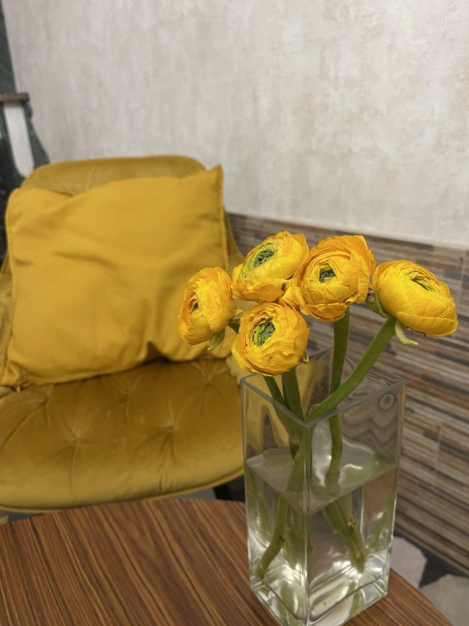 Фото Цветник