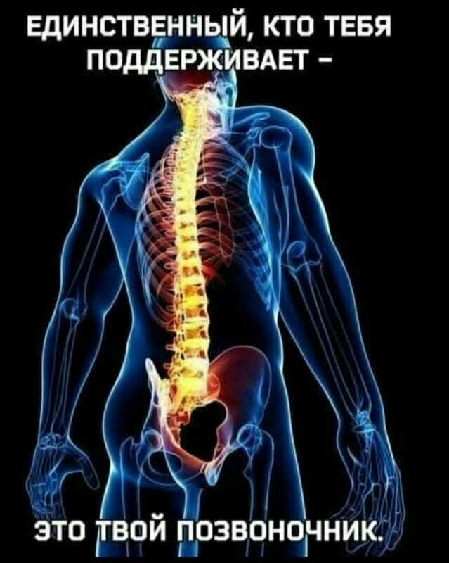 Остеопатия, мануальная терапия Кинезиолог. Остеопат, Саратов, фото