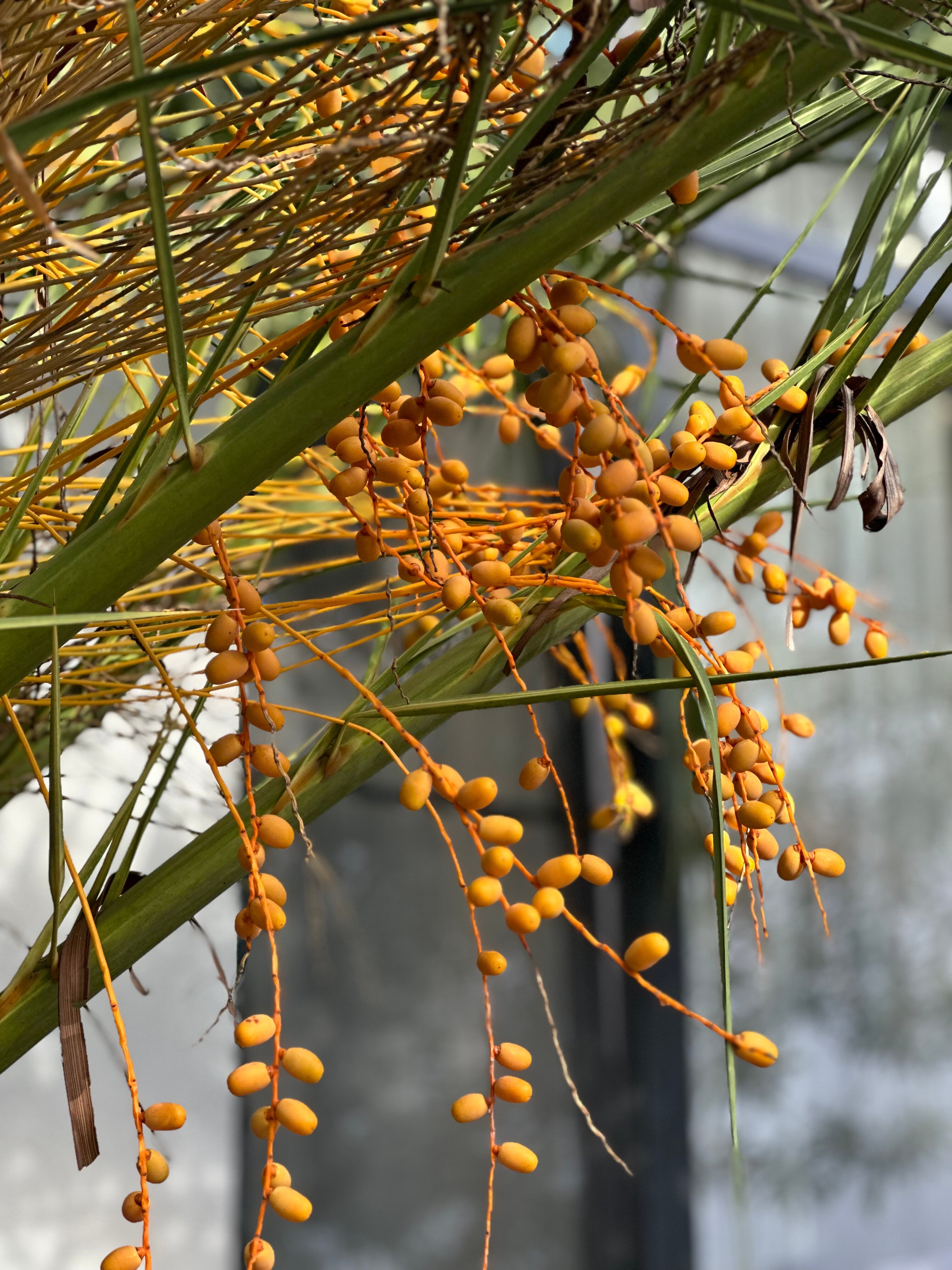 Фото Апарт-отель Булгаков