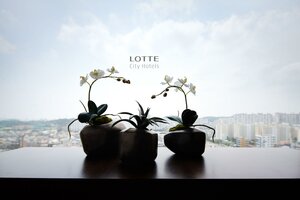 Гостиница Lotte City Hotel Ulsan