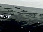 Карельский малек форели (posyolok Essoyla, Tsentralnaya ulitsa, 29), fisheries, fish farming