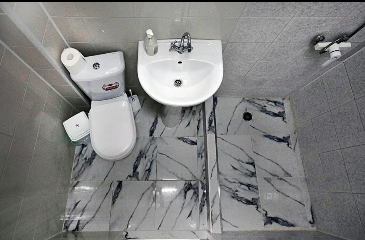 Фото Мята Фемели