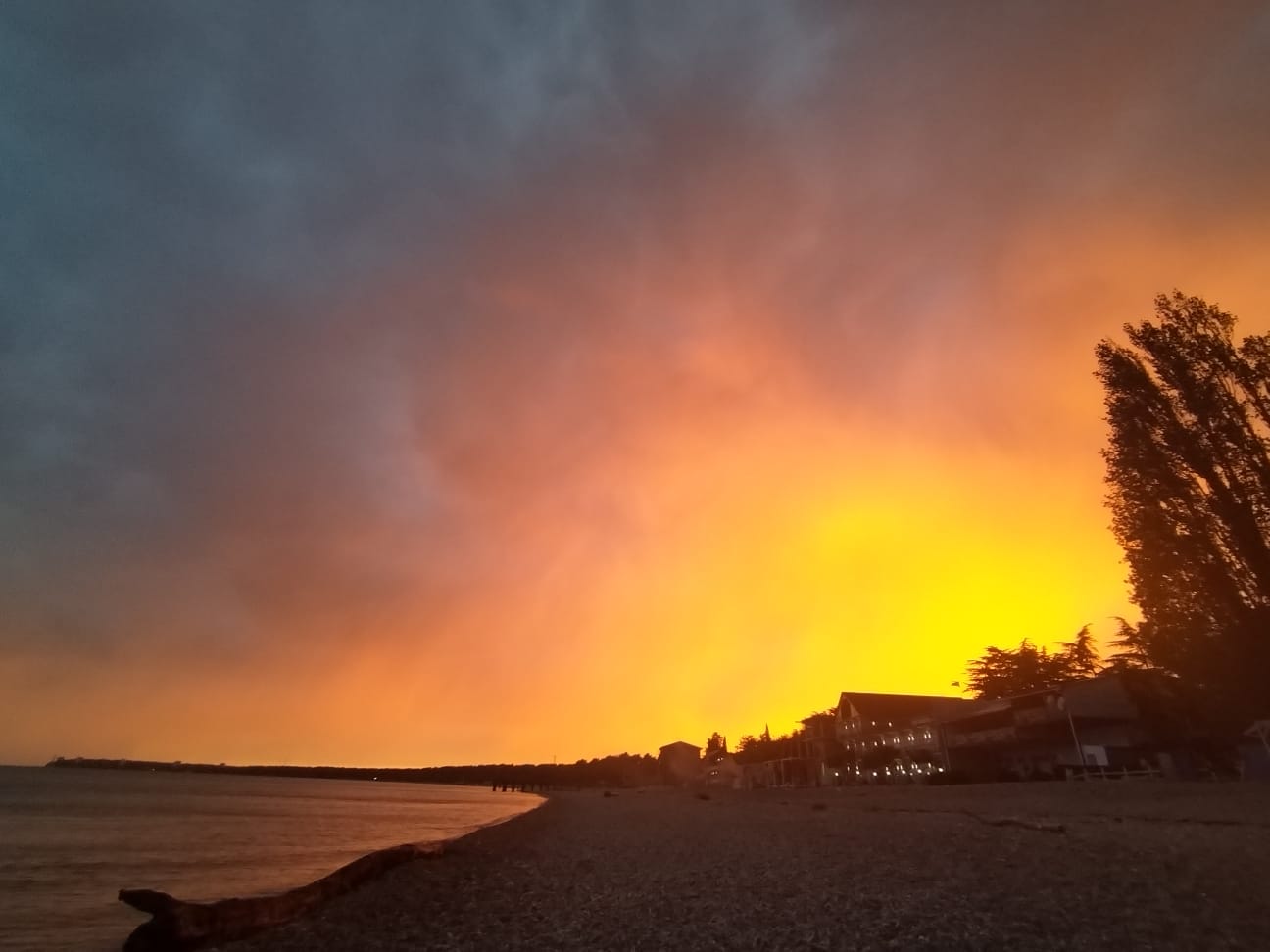 Фото Три Тополя