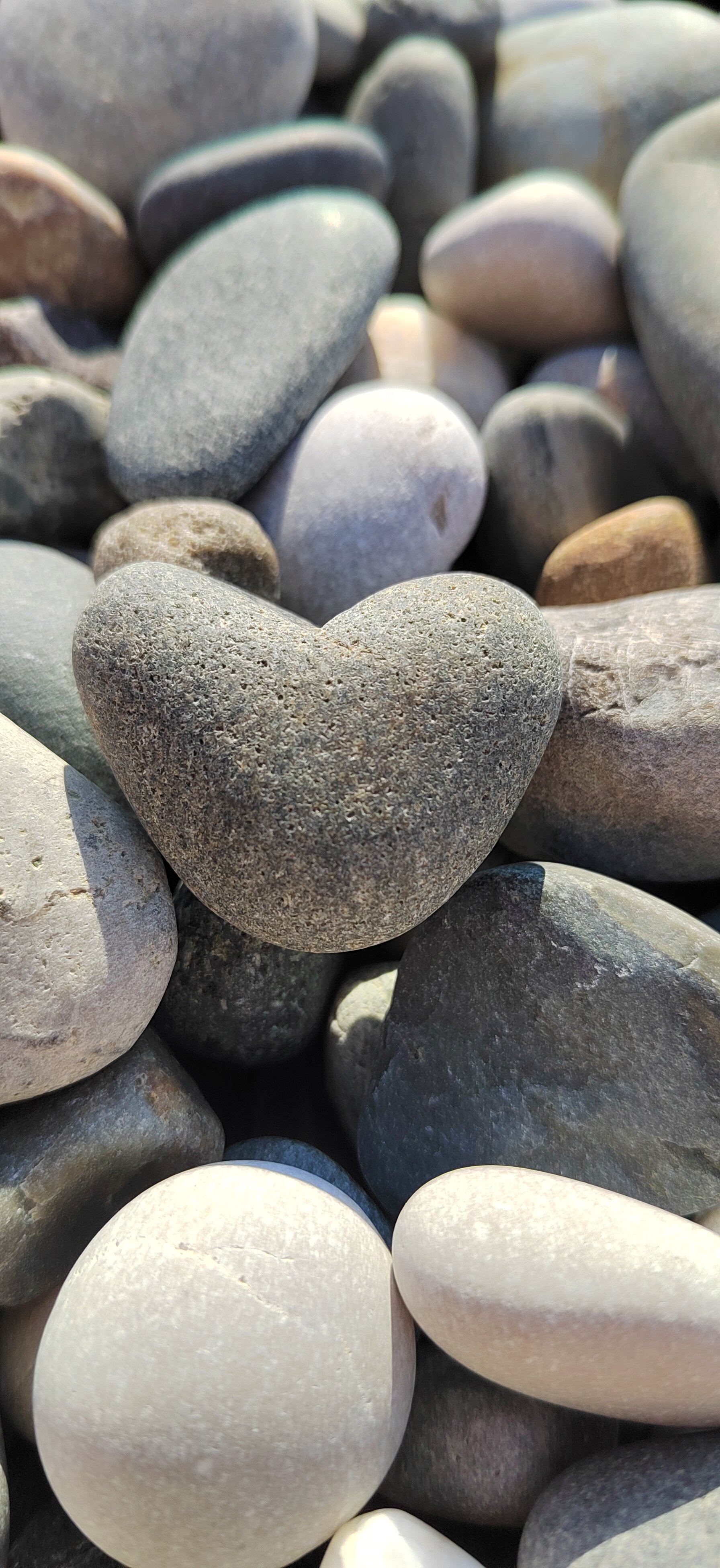 Фото Лунная пристань