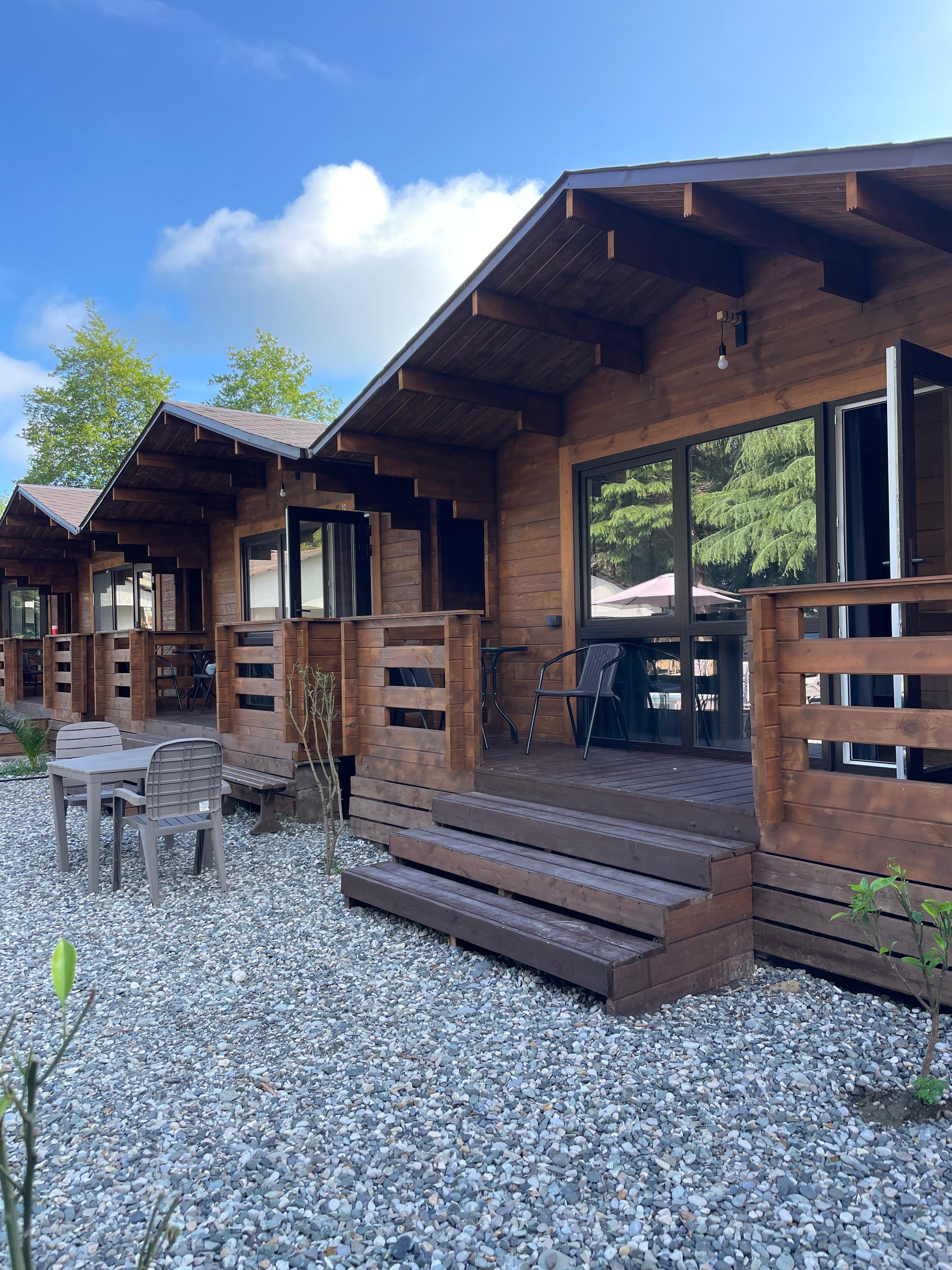 Фото Эвкалипт