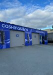 Cashmashina (Альпийский переулок, 83), car wash