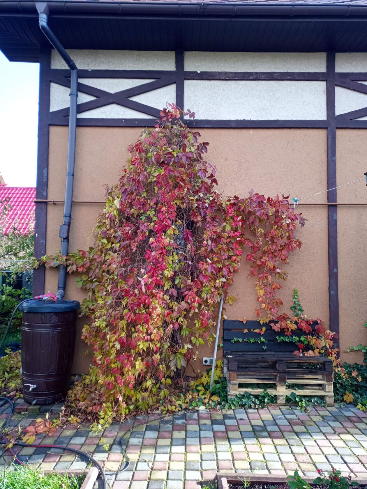 Фото Вилла Тобиас