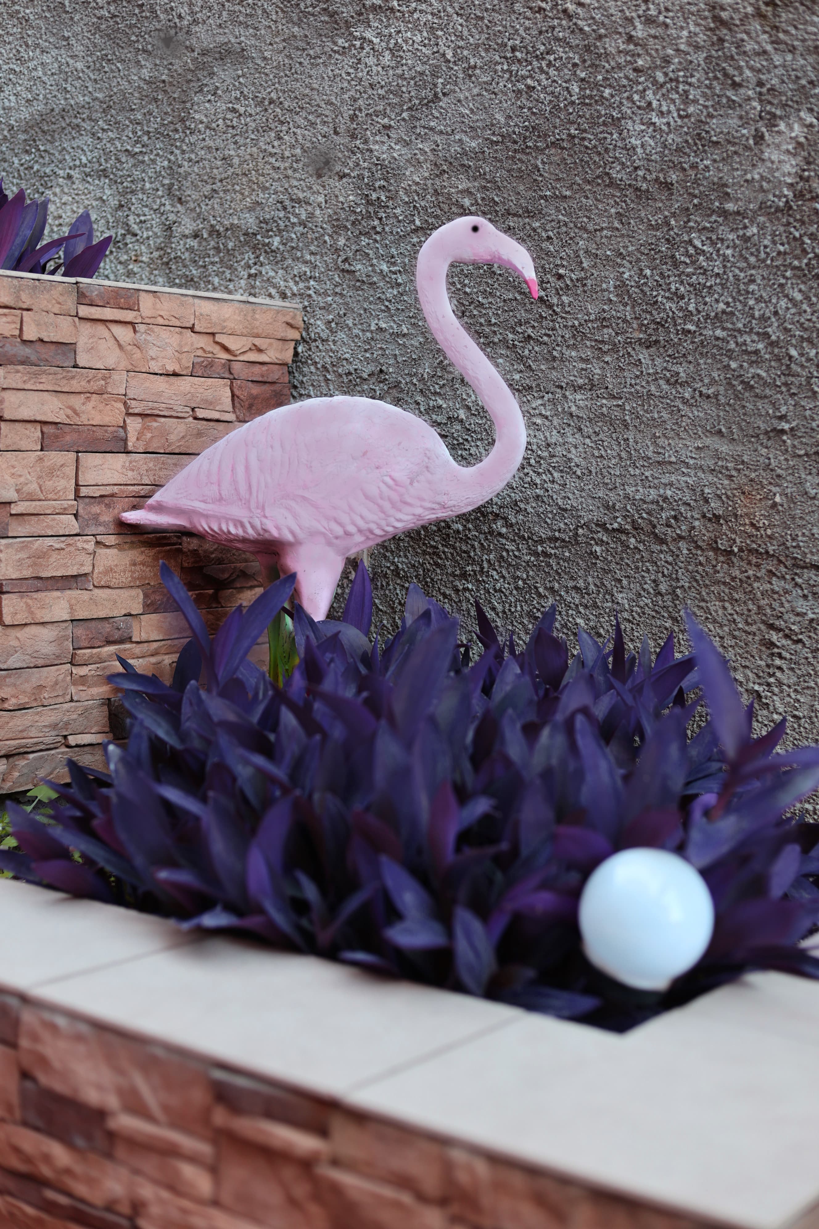 Фото Южный берег