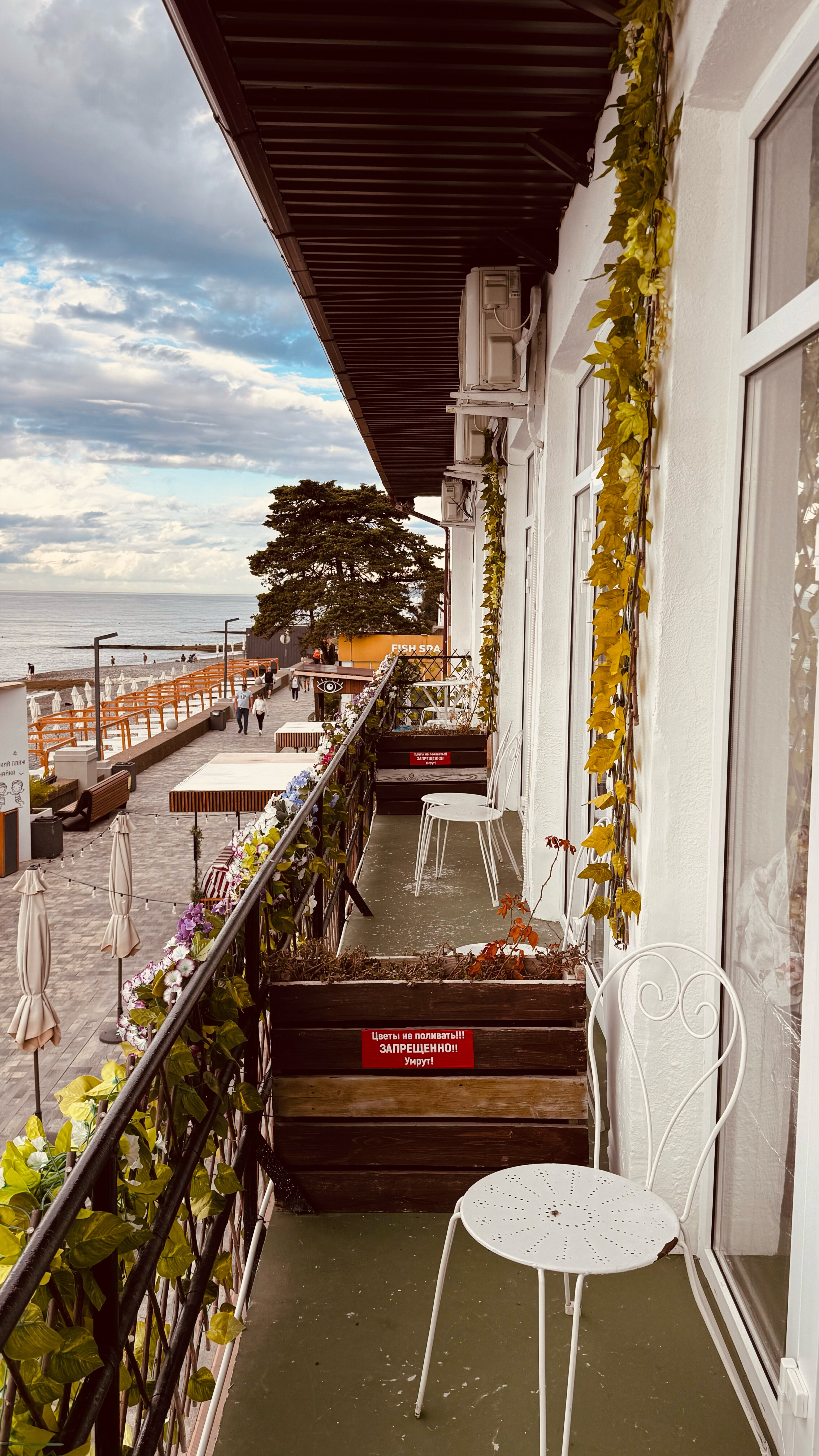 Фото Алёнка