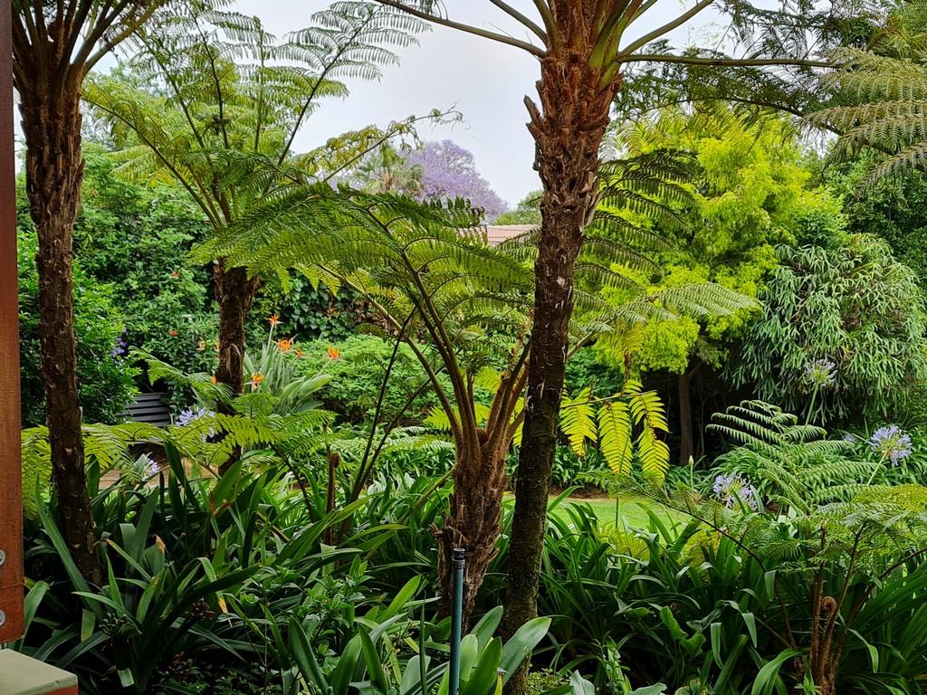 Фото Blackheath Manor Guest House