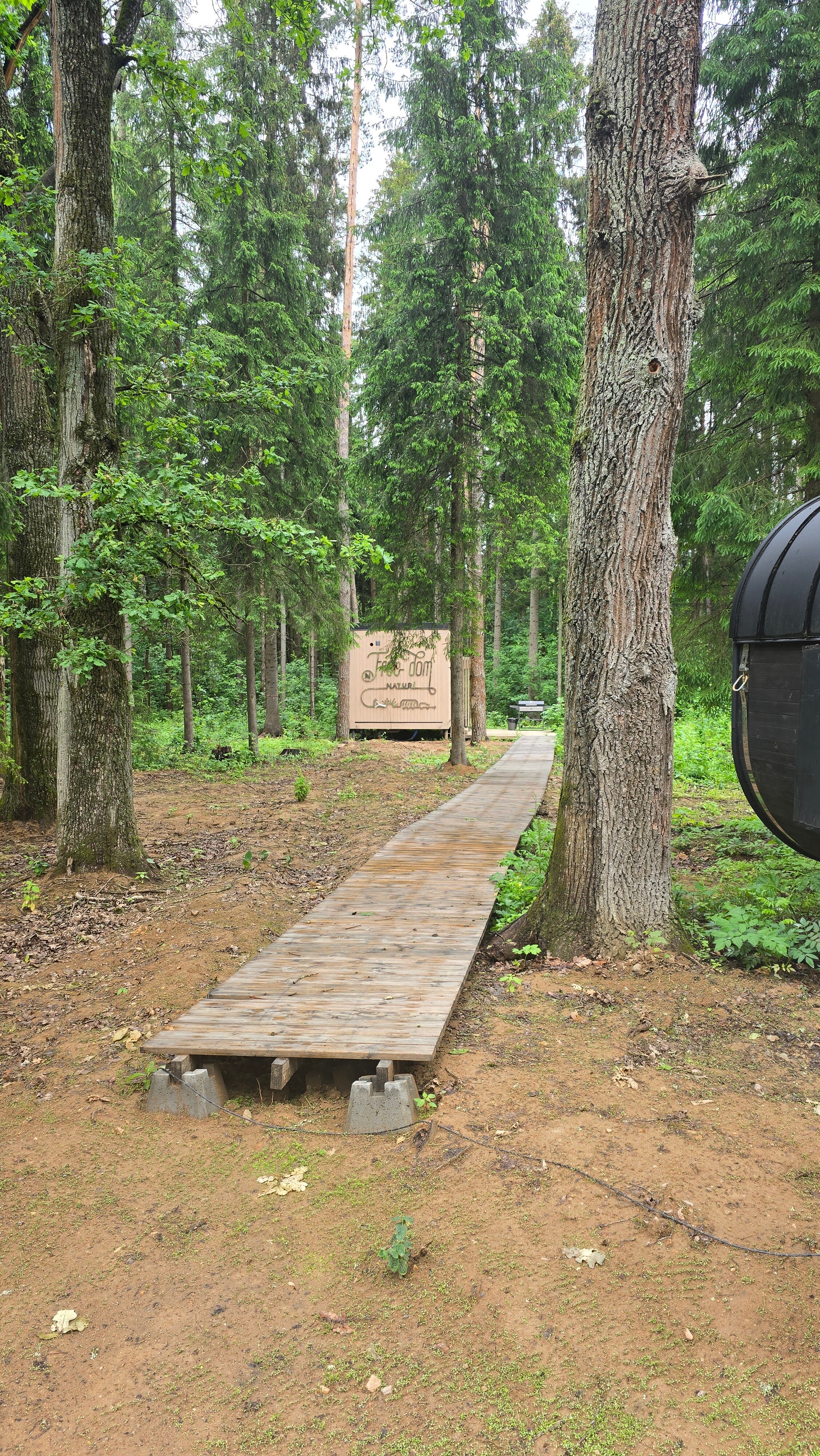 Фото Озеро белых лилий