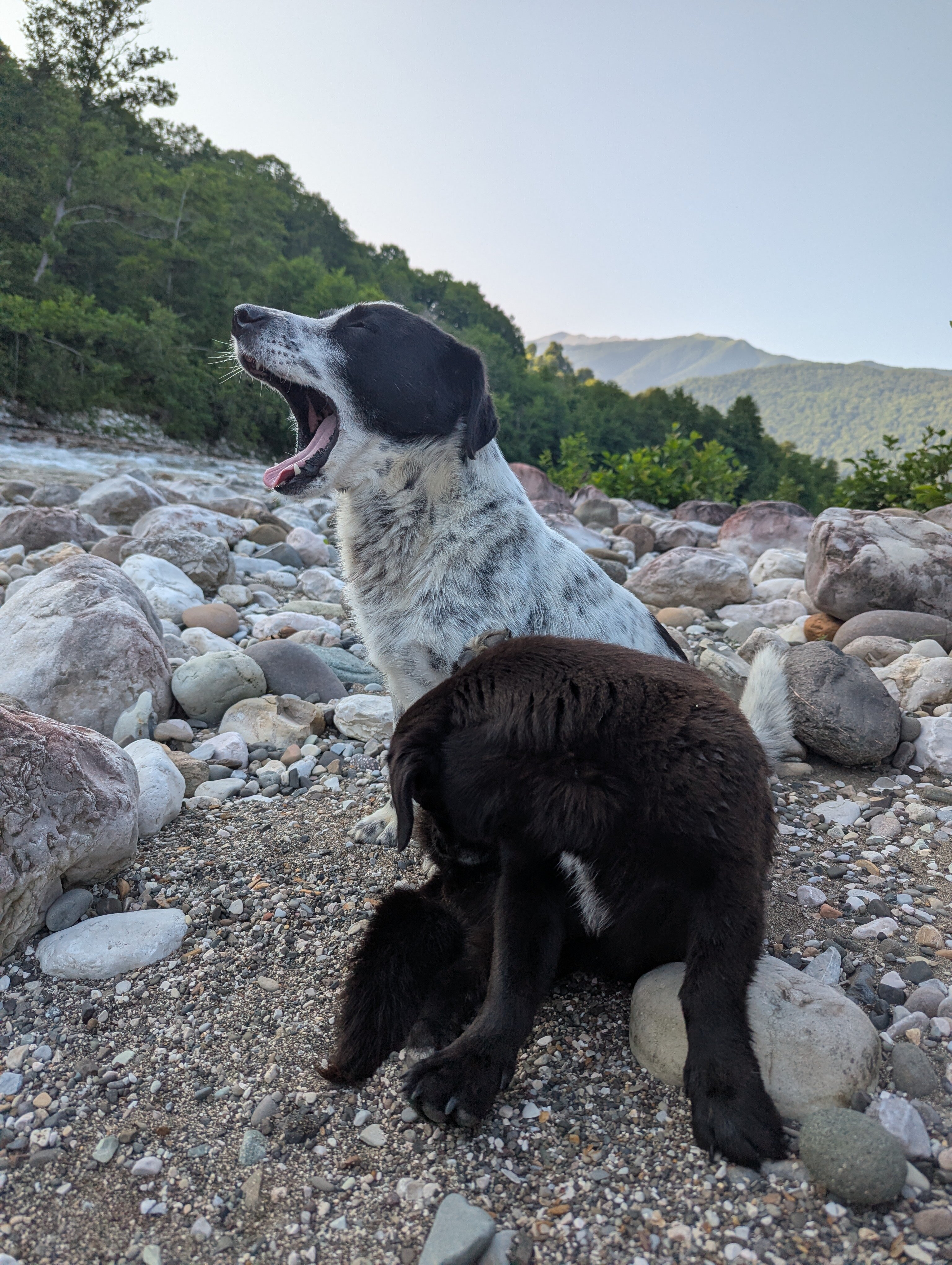 Фото Страна Души