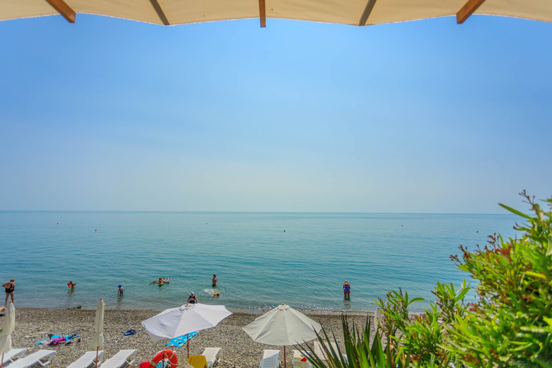 Фото Элизабет