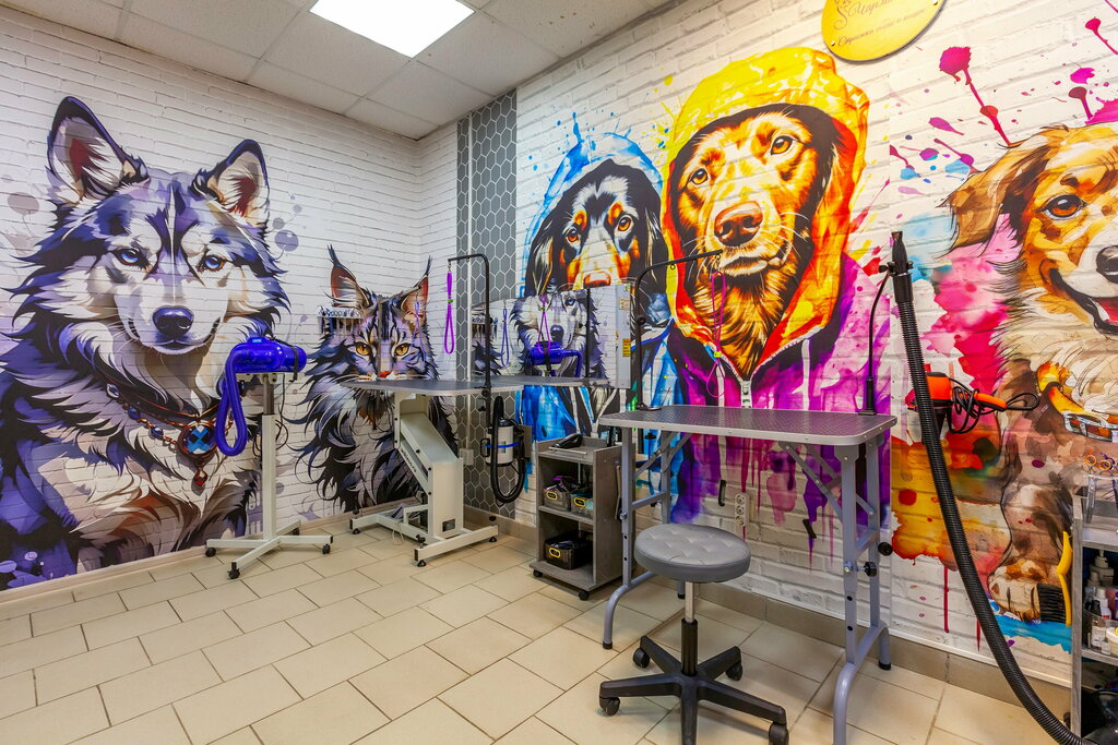 Pet salon Charlik grum, Dmitrov, photo