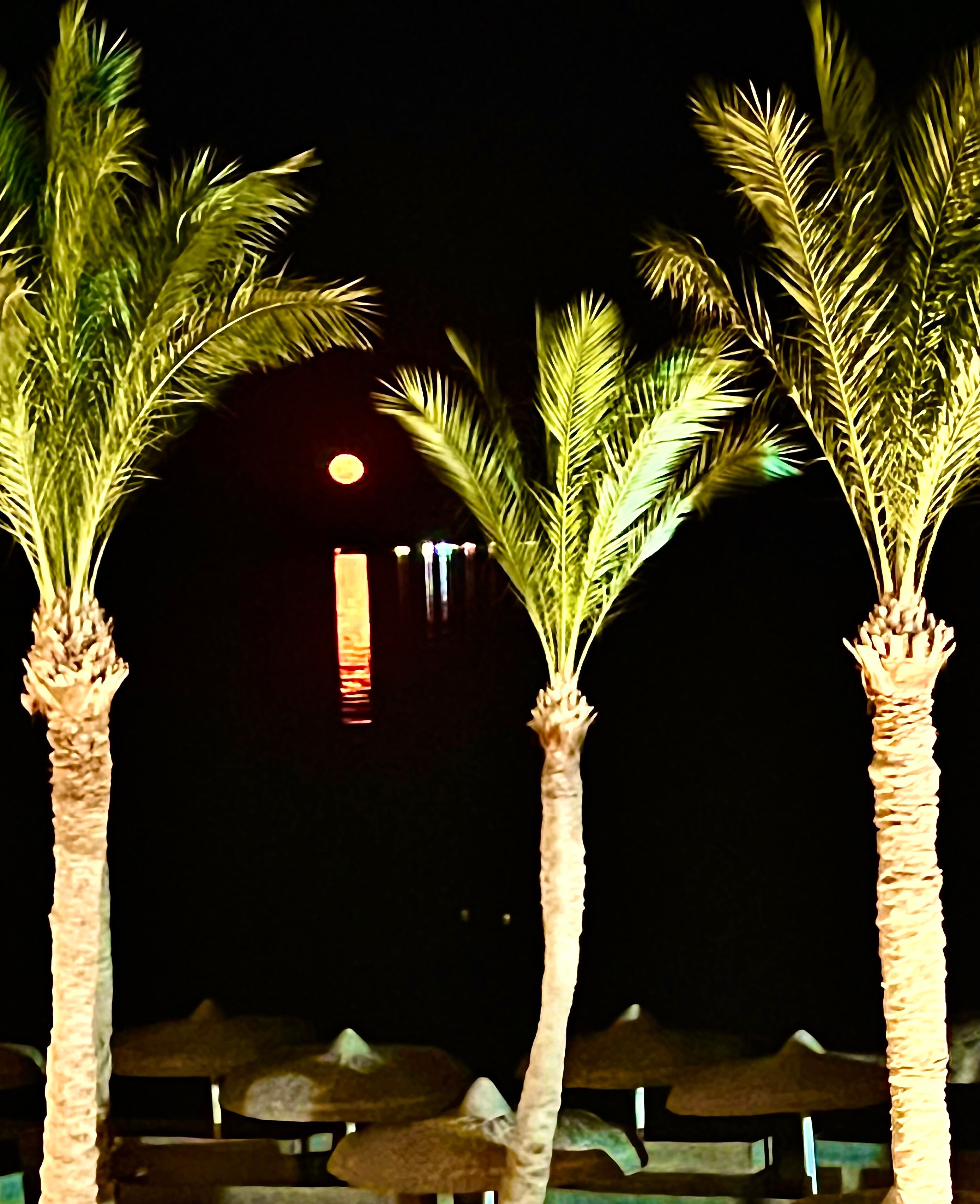 Фото Palm Royale Resort Soma Bay