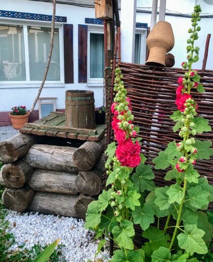 Фото Ростов Казачий