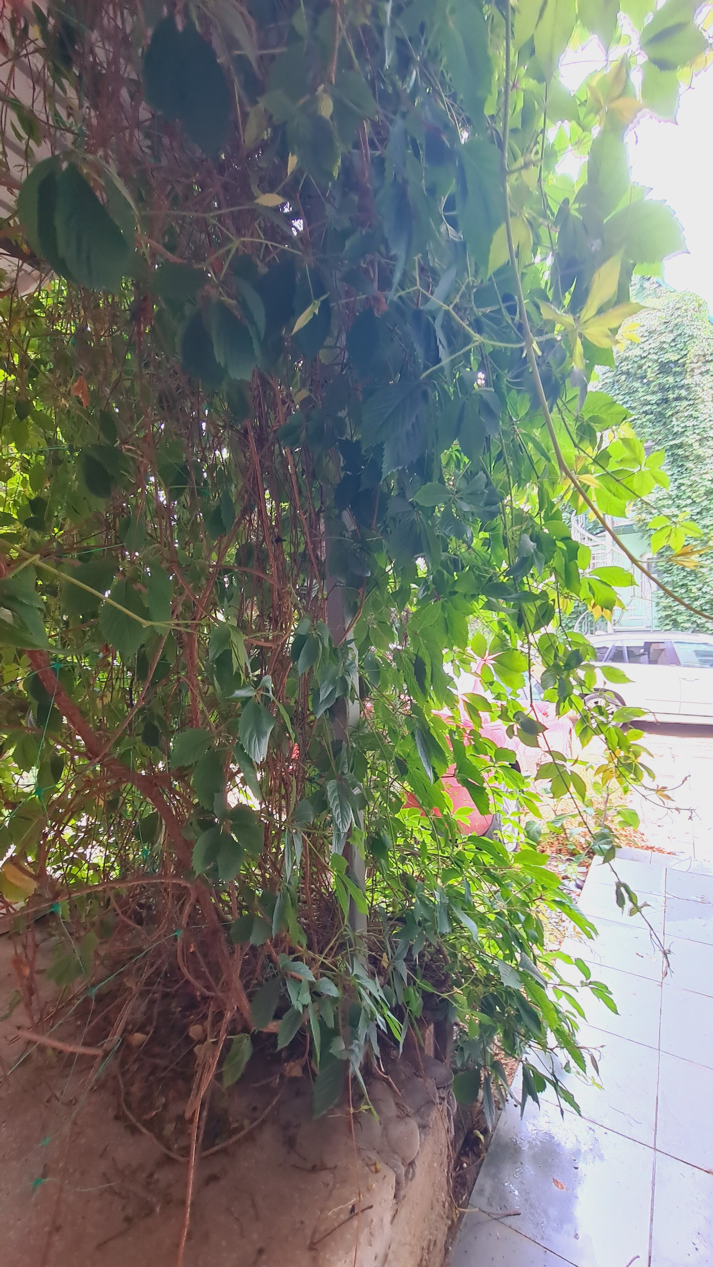 Фото Первая Линия