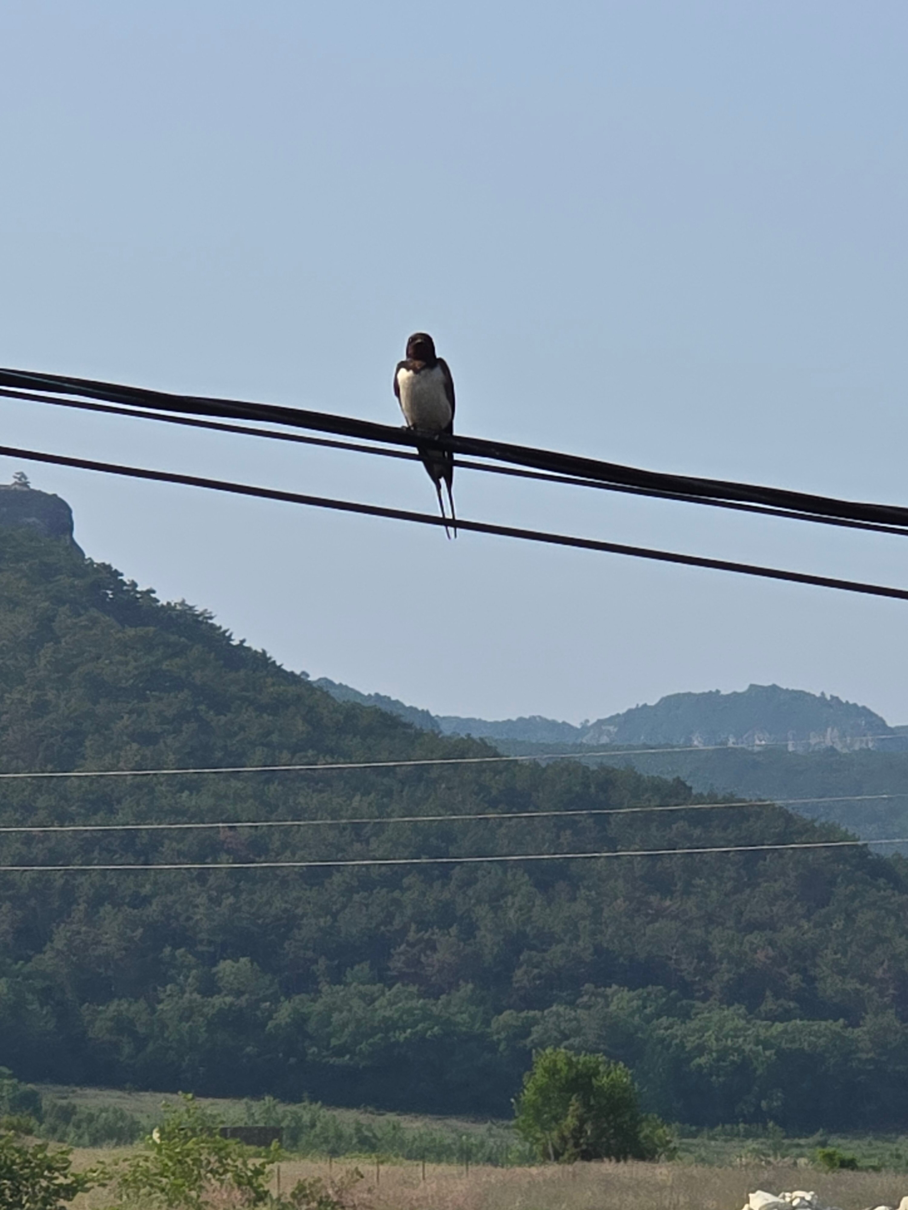 Фото Предгорье