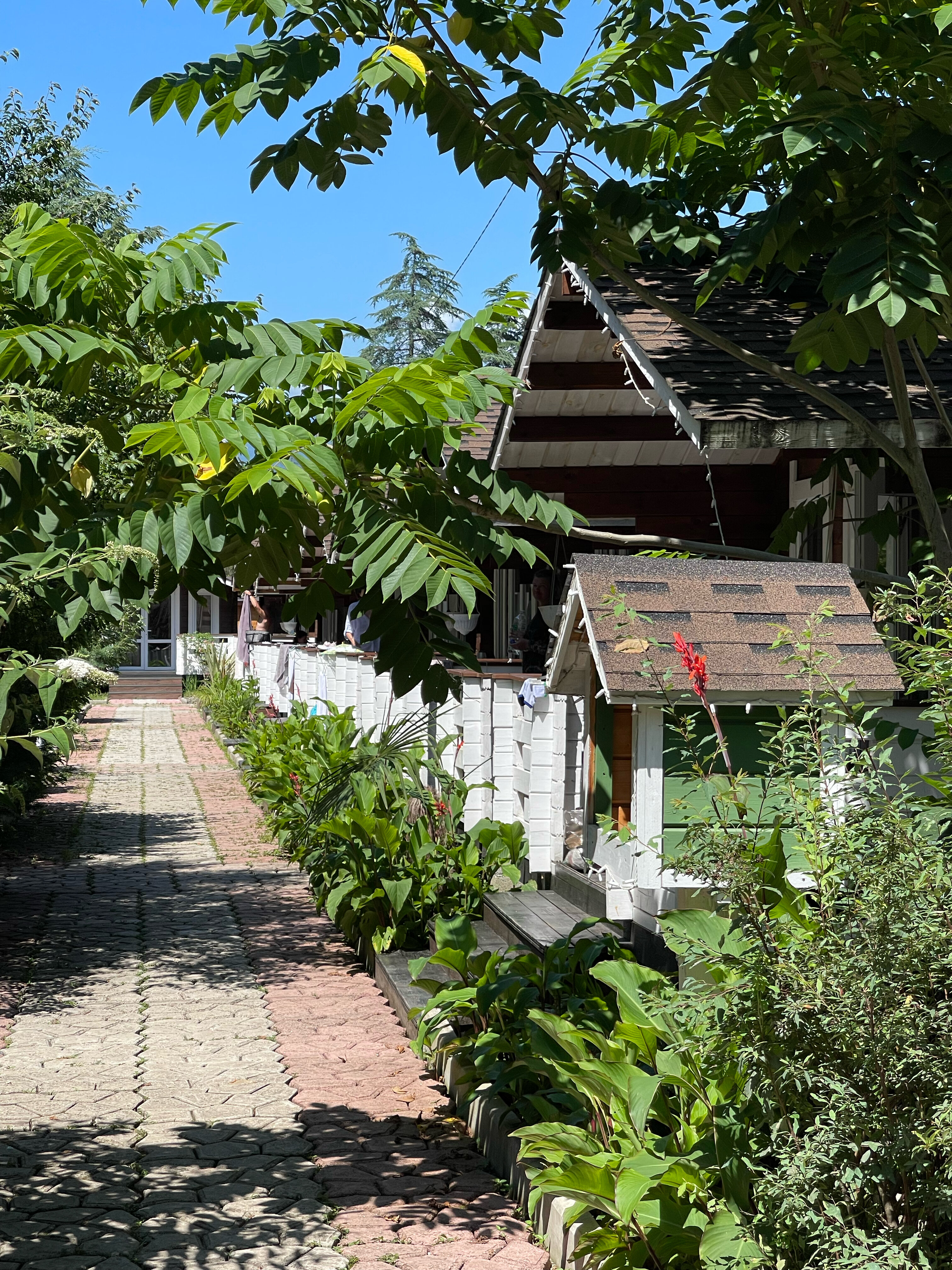 Фото Eco House Pitiunt