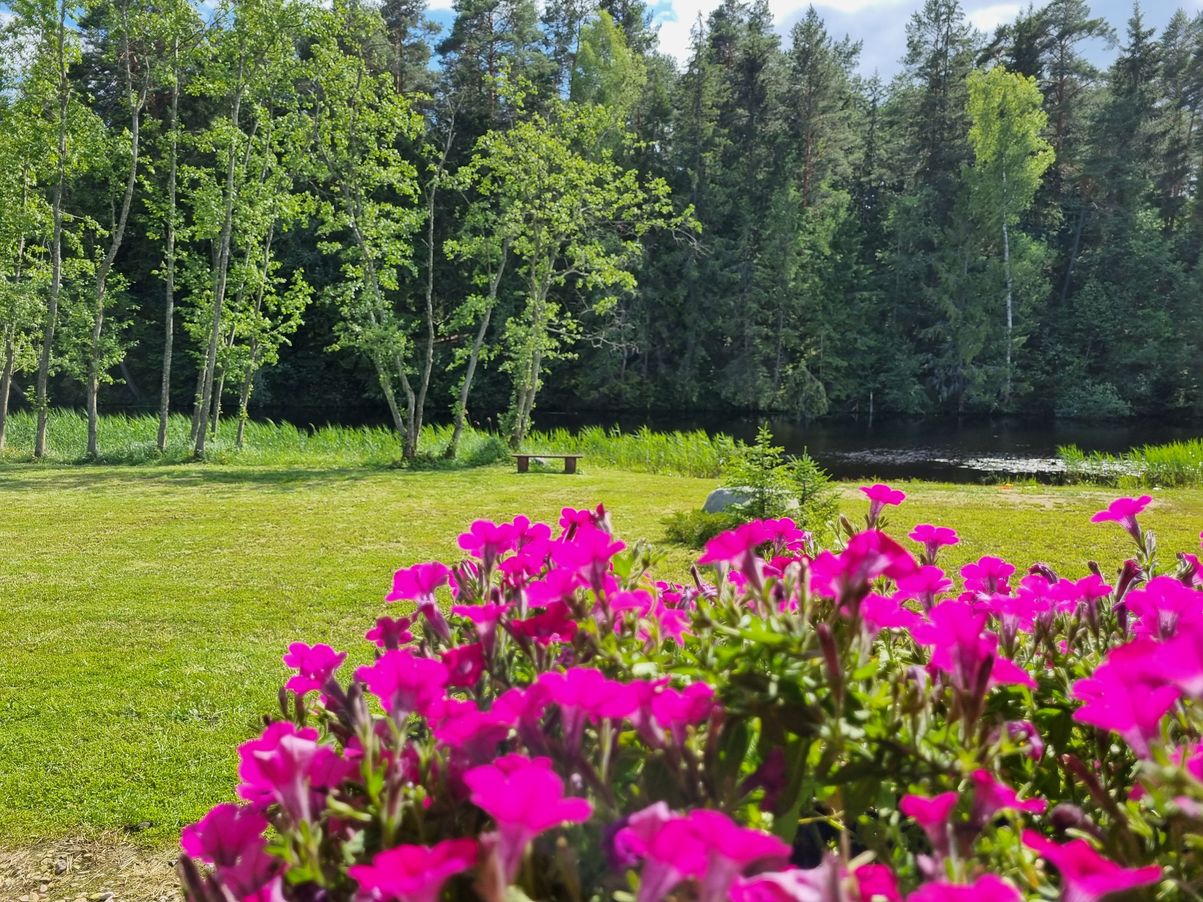 Фото Агроусадьба Мечта